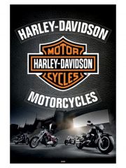Poster Harley Davidson Cycles
