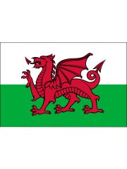 Fahne Wales Drache