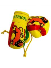 Kleine Boxhandschuhe Äthiopien