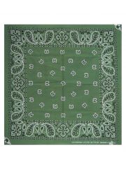 Bandana Paisley Ground