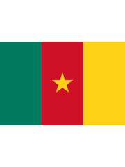 Fahne Kamerun