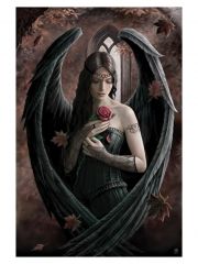 Poster Anne Stokes Angel Rose