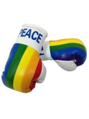 Kleine Boxhandschuhe Regenbogen