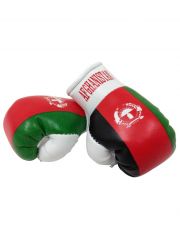 Kleine Boxhandschuhe Afganistan