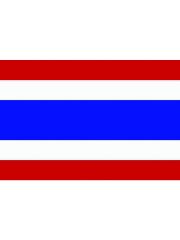 Fahne Thailand