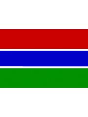 Fahne Gambia