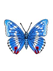 Aufbügler Schmetterling blau