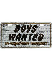 Autoschild Boys Wanted