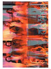 The Doors Poster Fahne Band Flames