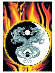 Burning Ying Yang Tao Posterfahne