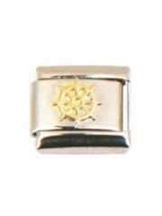 Motiv Ruder gold