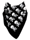 Bandana Dead Heads