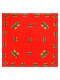 Bandana Teddy rot