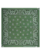 Bandana Paisley Ground