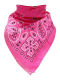 Bandana Paisley rose
