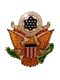Anstecker Siegel Wappen Amerika