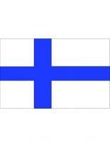 Fahne Finland