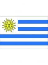 Fahne Uruguay