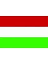 Fahne Ungarn