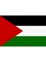 Fahne Palästina