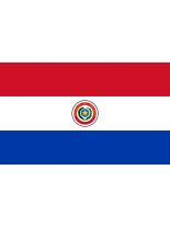Fahne Paraguay