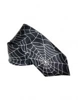Krawatte Spinnen Netz