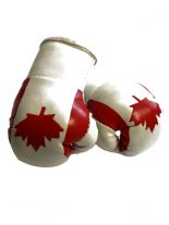 Kleine Boxhandschuhe Kanada
