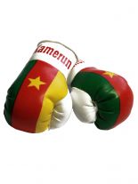 Kleine Boxhandschuhe Kamerun