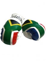 Kleine Boxhandschuhe Südafrika
