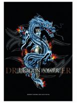 Dragon Power Merchandise Schlüsselanhänger