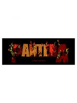 Aufnäher Pantera Flames Logo