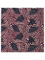 Bandana USA Flags