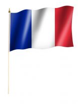 Stockfahne Frankreich