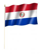 Stockfahne Paraguay