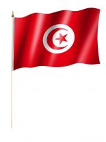 Stockfahne Tunesien