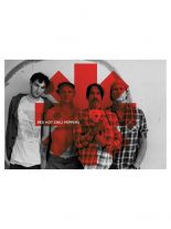 Poster Red Hot Chilli Peppers