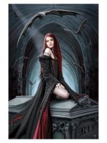 Poster Anne Stokes Await The Night