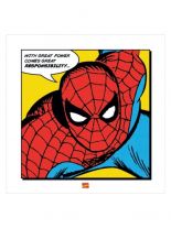 Poster Art Print Spider Man