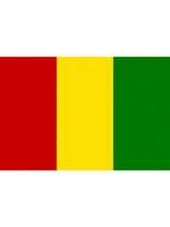 Fahne Guinea