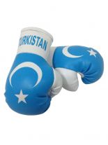 Kleine Boxhandschuhe Turkistan
