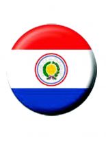 2 Button Fahne Paraguay