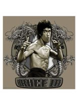 3 Aufkleber Bruce Lee