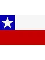 Fahne Chile