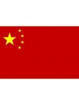 Fahne China