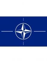Fahne NATO