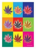 3 Drogen farbig Postkarten