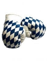 Kleine Boxhandschuhe Bayern