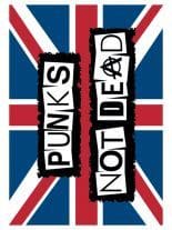Punks not Dead Posterfahne