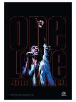Bob Marley Poster Fahne One Love Live