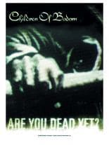 Children of Bodom Poster Fahne Are you Dead Yet